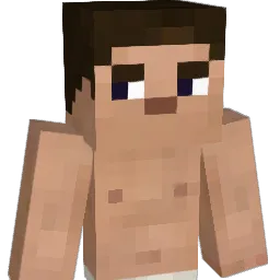 hans4017 Minecraft avatar bust