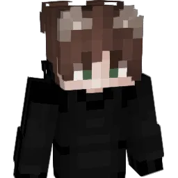 hanz012 Minecraft avatar bust