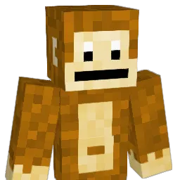 happydonkey02496 Minecraft avatar bust