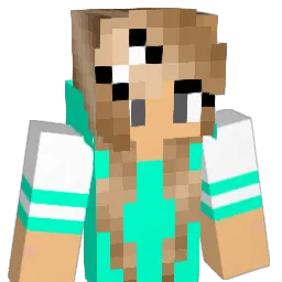 happyninja101 Minecraft avatar bust