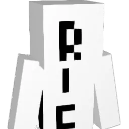 happyninja135 Minecraft avatar bust