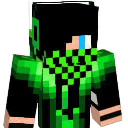 happypenguin14 Minecraft avatar bust