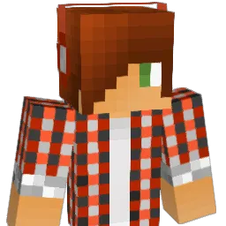 harnet30003 Minecraft avatar bust