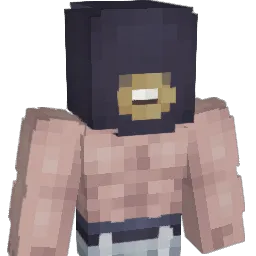 hasu397 Minecraft avatar bust