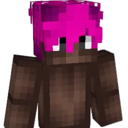 hasvn Minecraft avatar bust