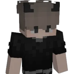 hatemetoo Minecraft avatar bust