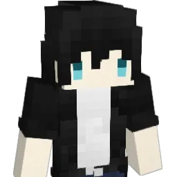 haveBadTeam Minecraft avatar bust