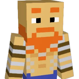 havefun2 Minecraft avatar bust