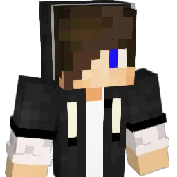 havel001 Minecraft avatar bust