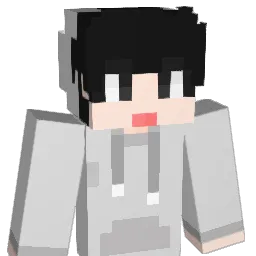 haw1n Minecraft avatar bust