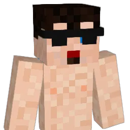 hawks21 Minecraft avatar bust
