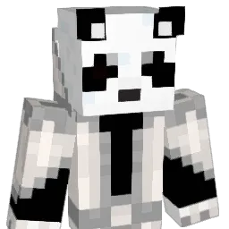 hawkvision2007 Minecraft avatar bust