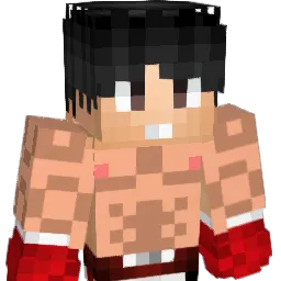 haxe25 Minecraft avatar bust
