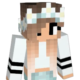 hayden201 Minecraft avatar bust
