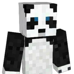 hayesman00 Minecraft avatar bust
