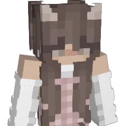 hays6112 Minecraft avatar bust