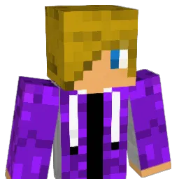 hbcshow Minecraft avatar bust