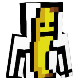 hcsmsqj Minecraft avatar bust