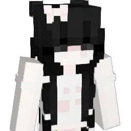 hcssak's Minecraft skin