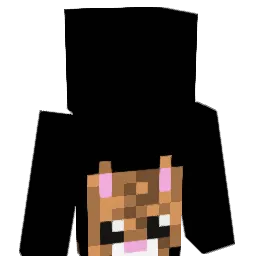 hdetroy101 Minecraft avatar bust