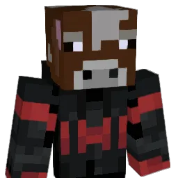 heRR0R Minecraft avatar bust