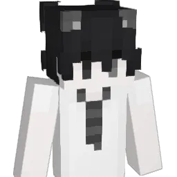healtes Minecraft avatar bust