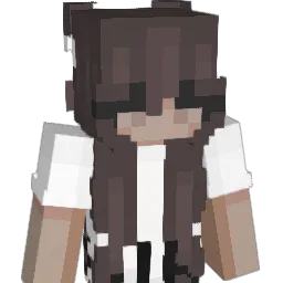 heartburn_ Minecraft avatar bust