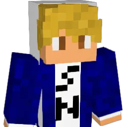 heatcat78 Minecraft avatar bust