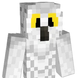hedwigdererste Minecraft avatar bust