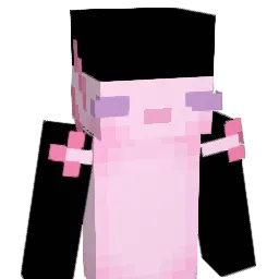 heepswillard Minecraft avatar bust
