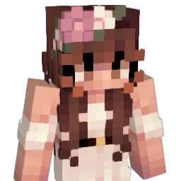 heidiideeb