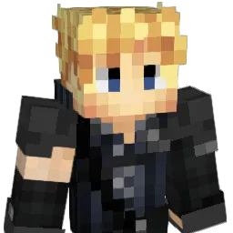 heikari_ Minecraft avatar bust