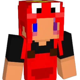 heisan0525 Minecraft avatar bust
