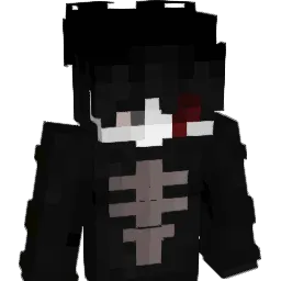 heisi_mind Minecraft avatar bust