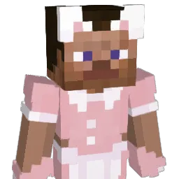 hejsesi Minecraft avatar bust