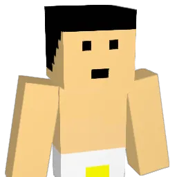 hekopin Minecraft avatar bust