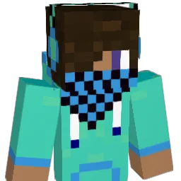 henkkanoidi98 Minecraft avatar bust