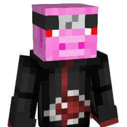henlach Minecraft avatar bust