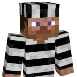 henry0508 Minecraft avatar bust