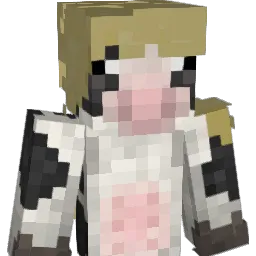 henryetaa Minecraft avatar bust