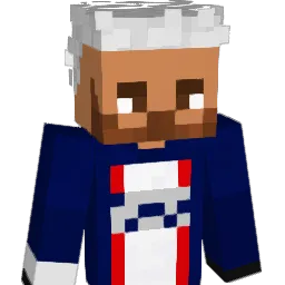 henryn7 Minecraft avatar bust
