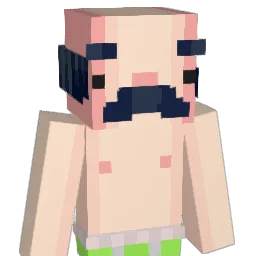 henswieee Minecraft avatar bust