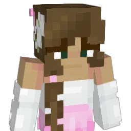 heroamit's Minecraft skin