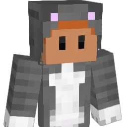 heroijsbeer Minecraft avatar bust