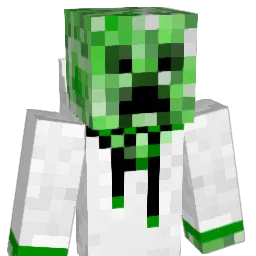 herring7949 Minecraft avatar bust
