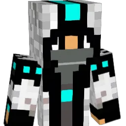 hess_nation Minecraft avatar bust