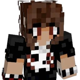 hexagons101 Minecraft avatar bust