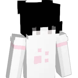 heyhachiii Minecraft avatar bust