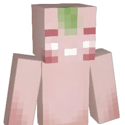 heyimjaytee