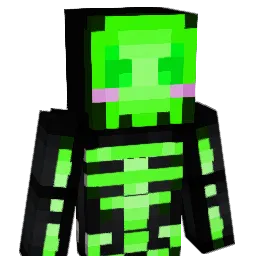 heykidoo Minecraft avatar bust